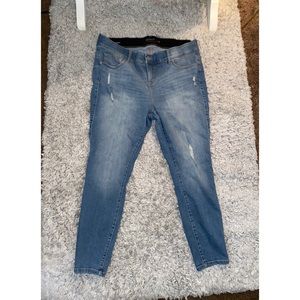 Torrid Jeans
